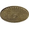 Ekena Millwork Shakuras Ceiling Medallion (For Canopies up to 5 1/2"), 29 1/2"OD x 2"P, Mississippi Mud Crackle CM30SHMMC - alternate 3